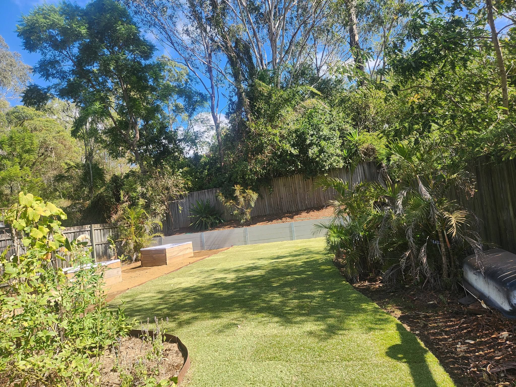 Finished backyard lawn framed by garden beds and mature trees